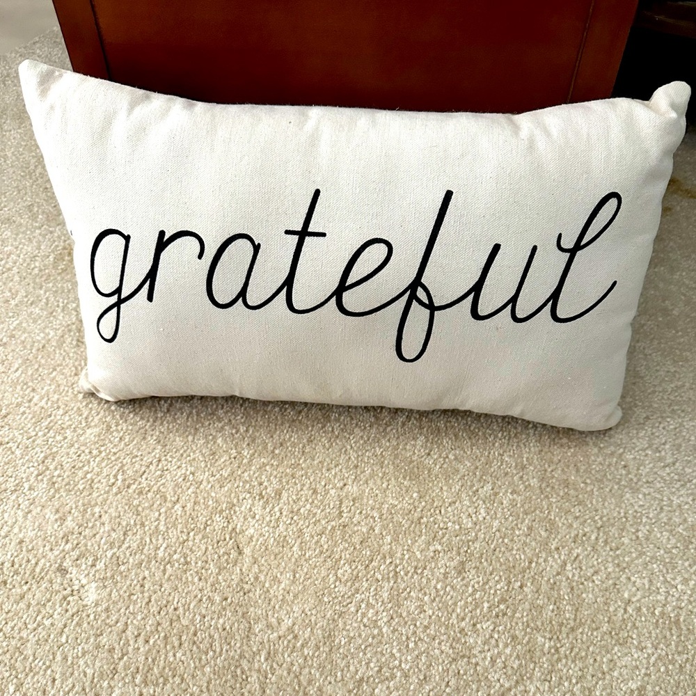 Grateful pillow cozy couch chair